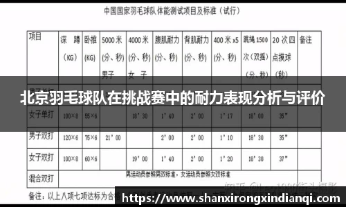 北京羽毛球队在挑战赛中的耐力表现分析与评价