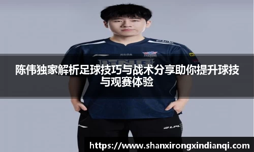 陈伟独家解析足球技巧与战术分享助你提升球技与观赛体验