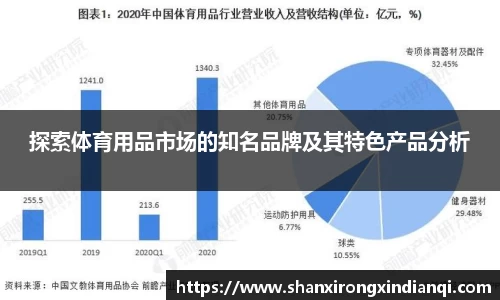 探索体育用品市场的知名品牌及其特色产品分析